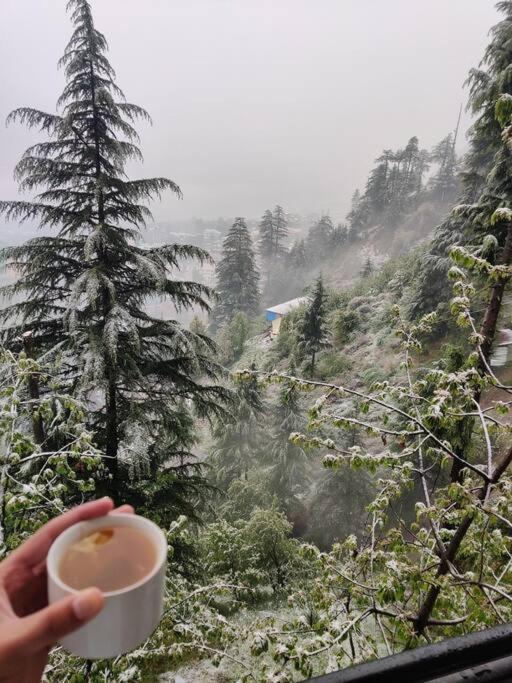 Aroma Taru Villa / Cottage ,Manali Экстерьер фото