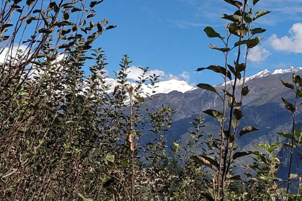 Aroma Taru Villa / Cottage ,Manali Экстерьер фото